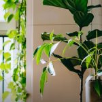 <strong>10 Simple Changes to Make Your Home More Environmentally Friendly</strong>