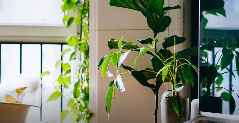 10 Simple Changes to Make Your Home More Environmentally Friendly