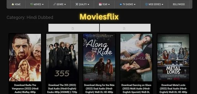 How Does TheMoviesFlix Work