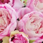 The Best 8 Flowers to Present to Mom on Mother's Day