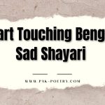 Heart Touching Bengali Sad Shayari 2023