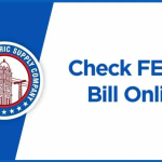 Can I Check My Old FESCO Bills Online?