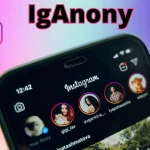 Exploring the Benefits of IgAnony for Content Creators